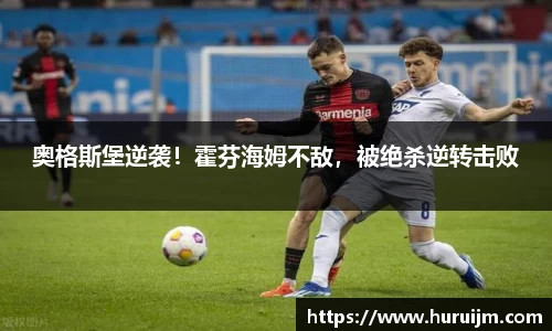 bsports官网入口