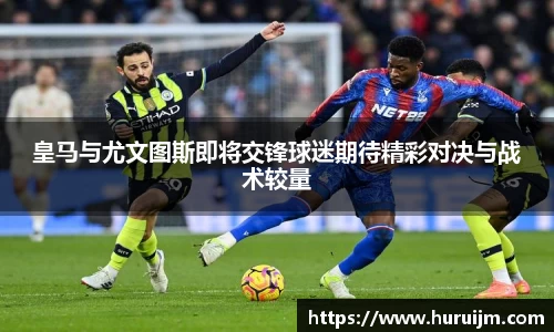 bsports官网入口