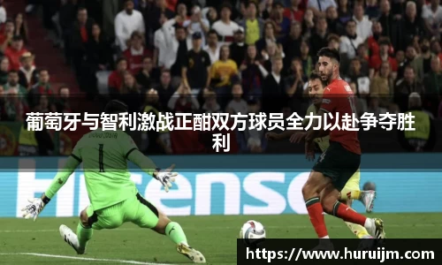 bsports官网入口