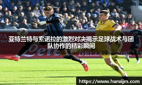 bsports官网入口